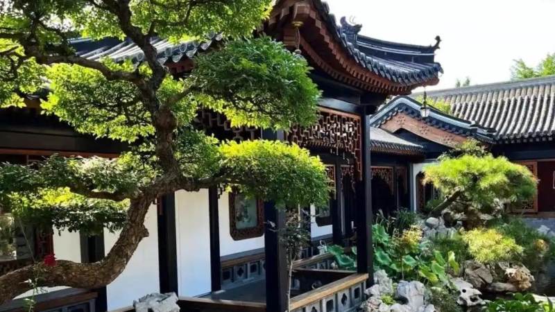发展历程 站点早期内容整理阶段配图